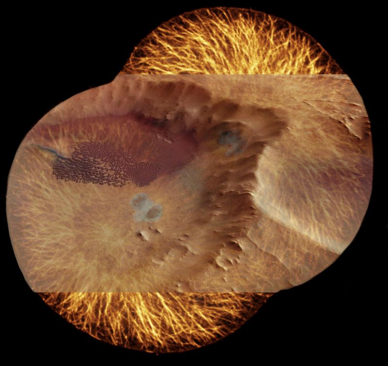 © Florence Iff - Gilgamesh Revisited / Humbaba