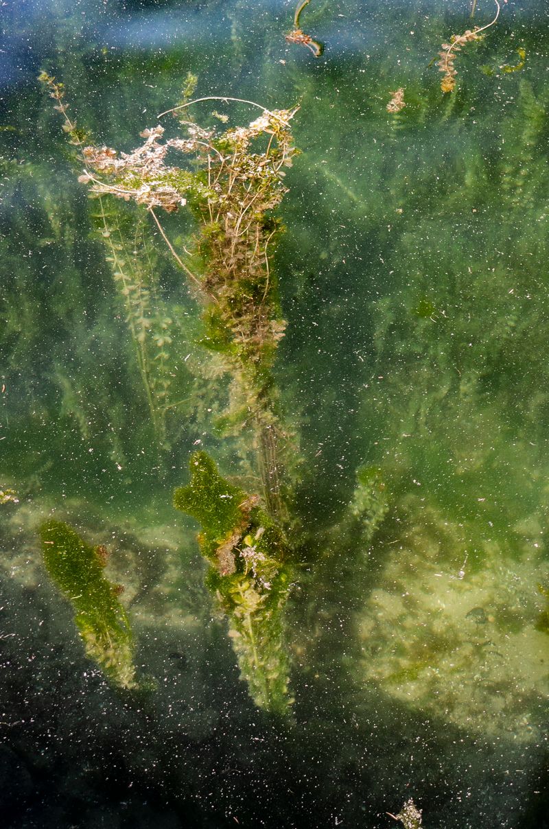 © Florence Iff - What Remains 3