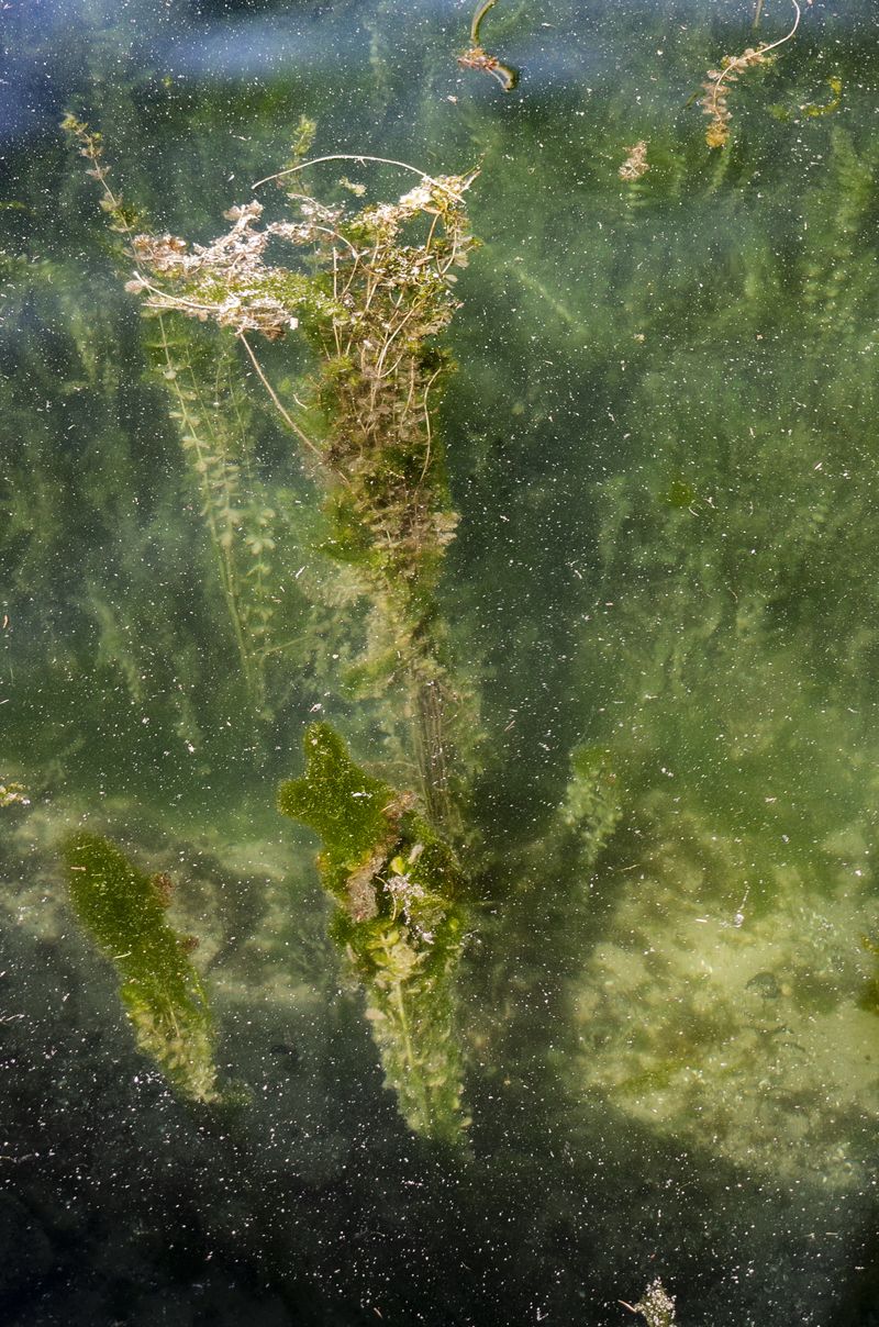 © Florence Iff - What Remains 3
