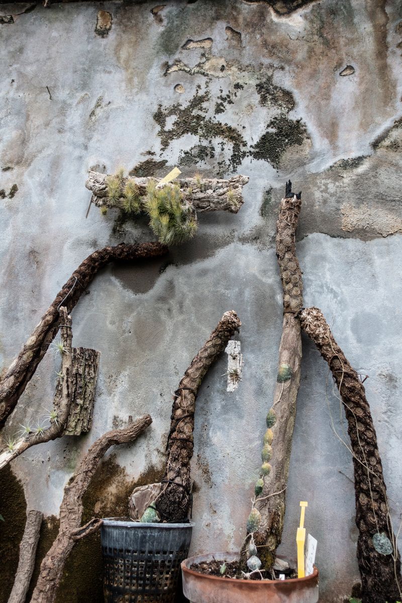 © Florence Iff - What Remains 4