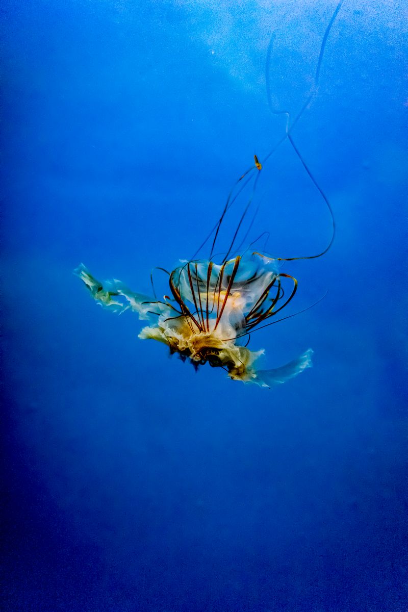 © Florence Iff - What Remains 6