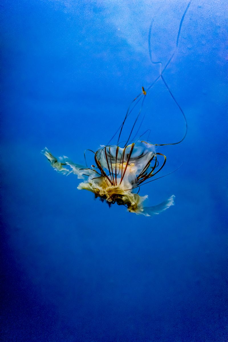 © Florence Iff - What Remains 6