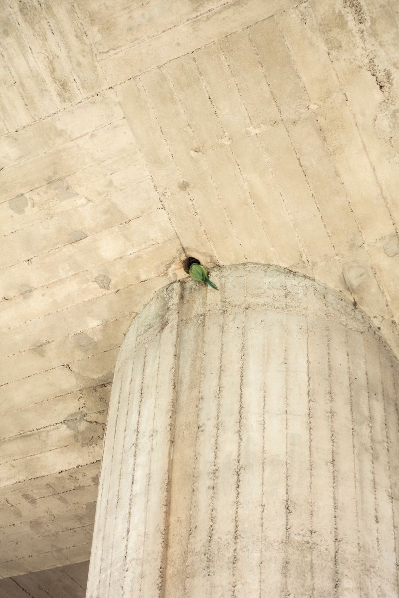 © Florence Iff - What Remains 15