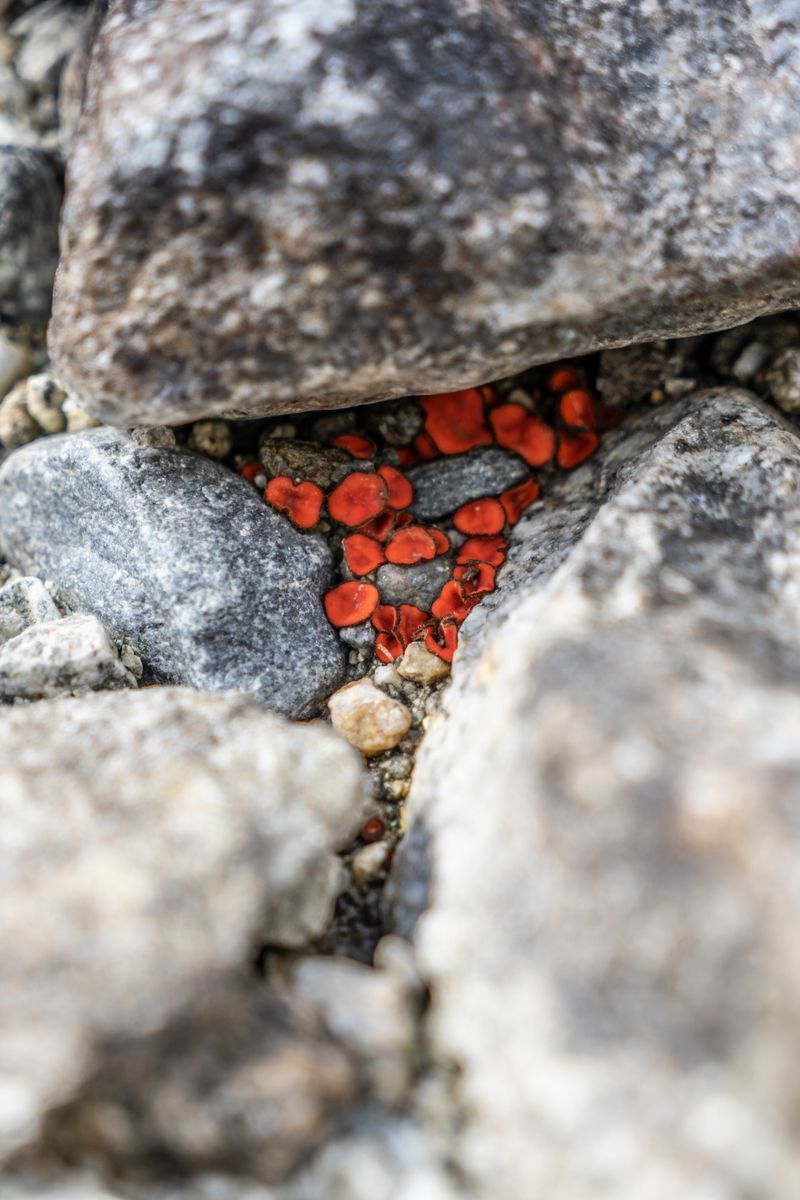 © Florence Iff - What Remains 17