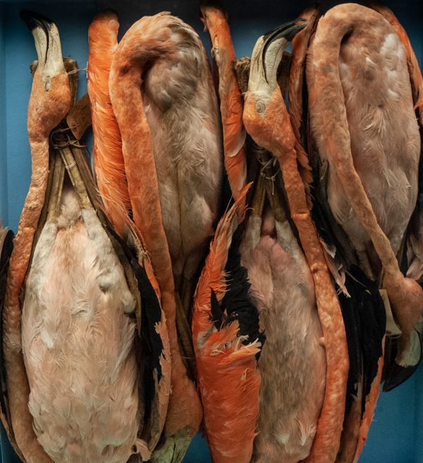 © Florence Iff - What Remains 1