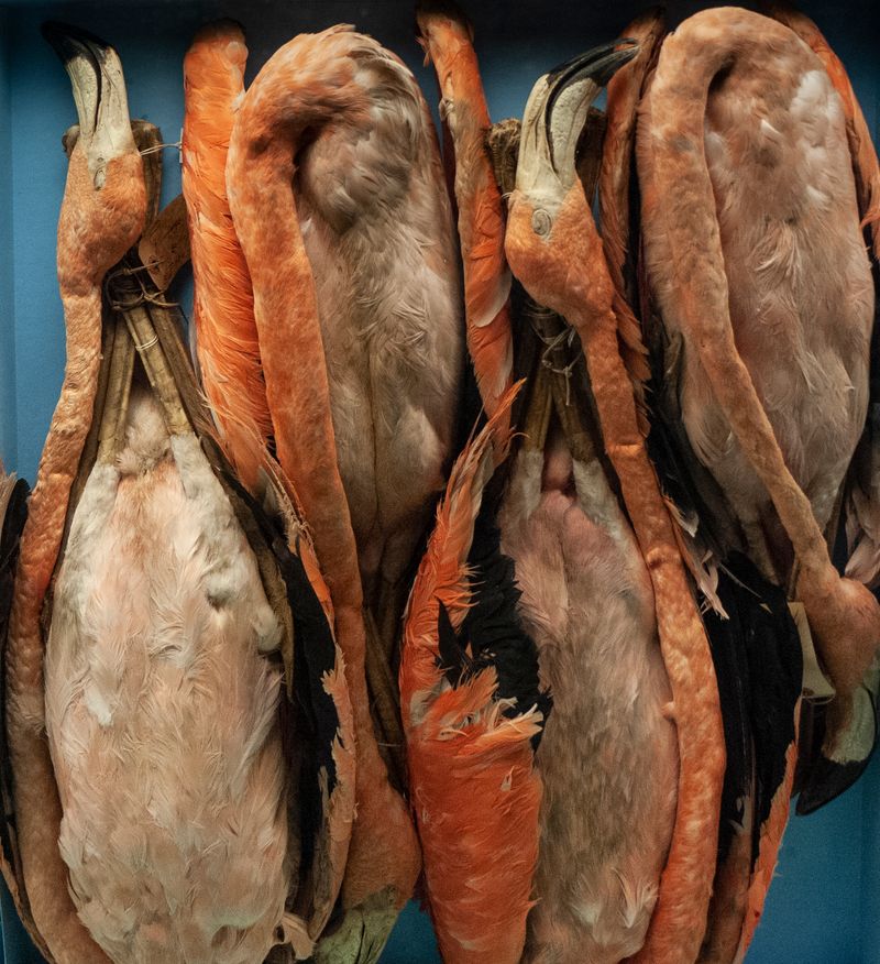 © Florence Iff - What Remains 1