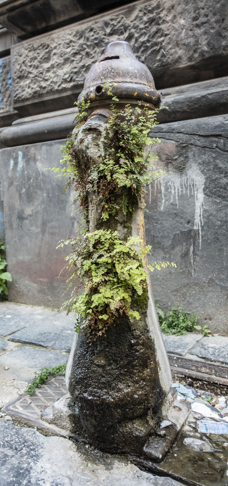 © Florence Iff - What Remains 7