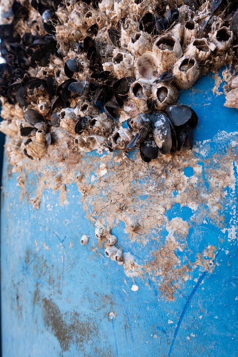 © Florence Iff - What Remains 16