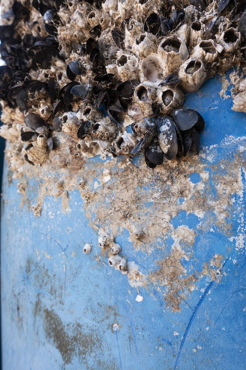 © Florence Iff - What Remains 16