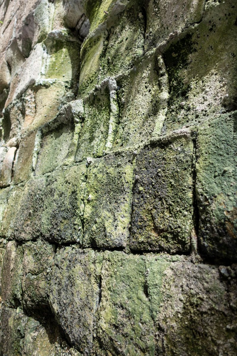 © Florence Iff - What Remains 20