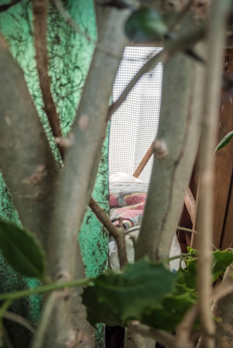 © Florence Iff - Image from the Insight-out photography project