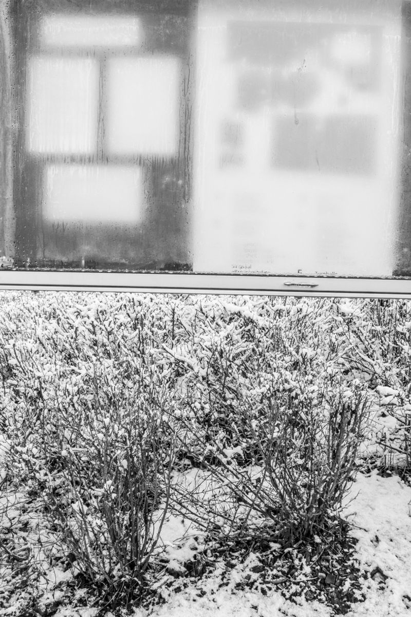 © Florence Iff - Image from the Insight-out photography project