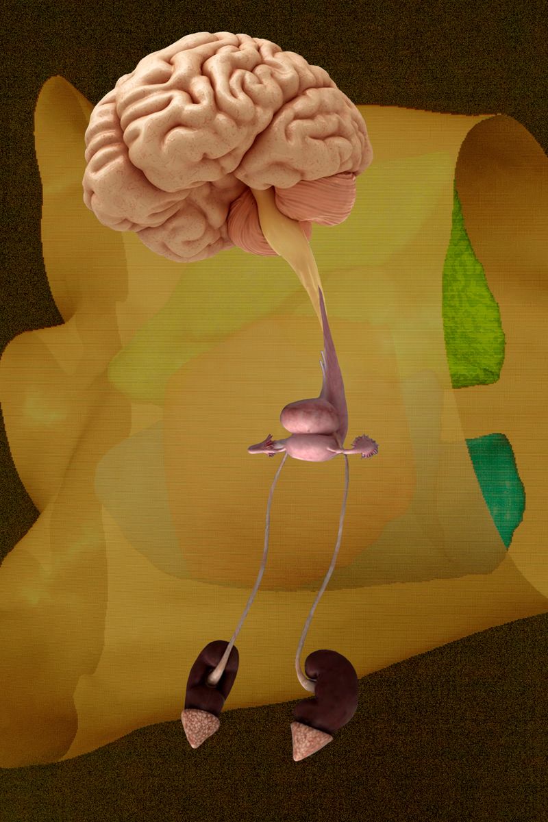 © Florence Iff - Freejazz 8