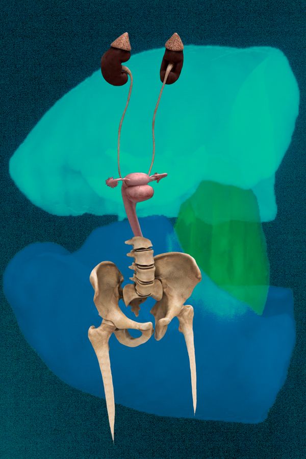 © Florence Iff - Freejazz 1