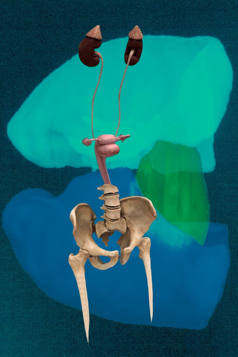 © Florence Iff - Freejazz 1