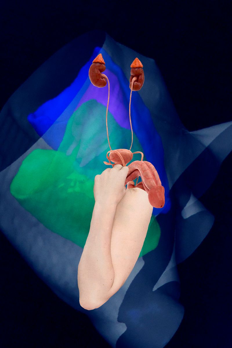 © Florence Iff - Freejazz 10