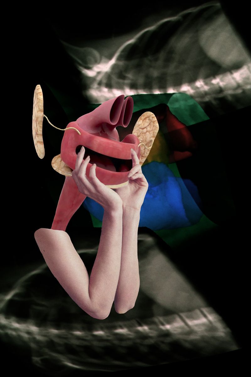 © Florence Iff - Freejazz 9