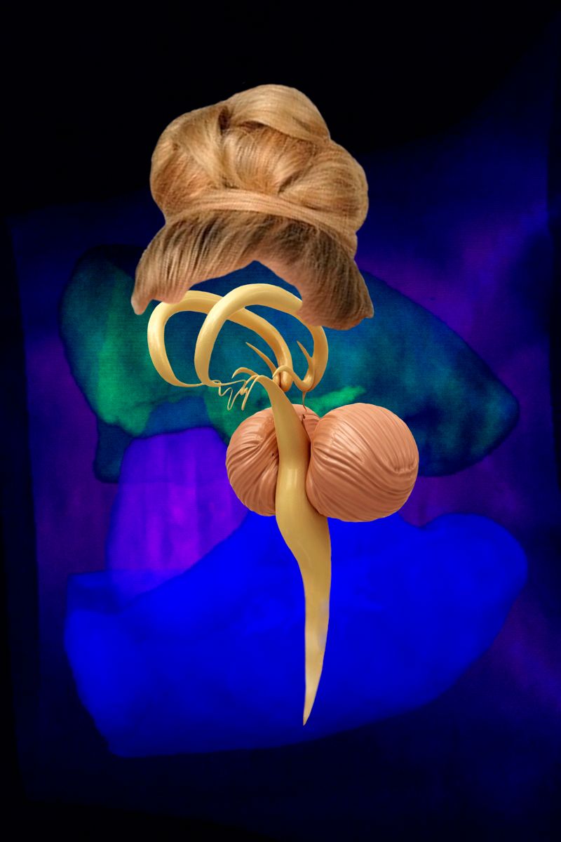 © Florence Iff - Freejazz 6