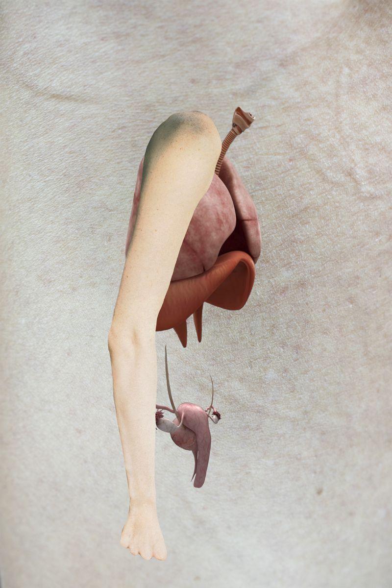 © Florence Iff - Me, Myself & I /
