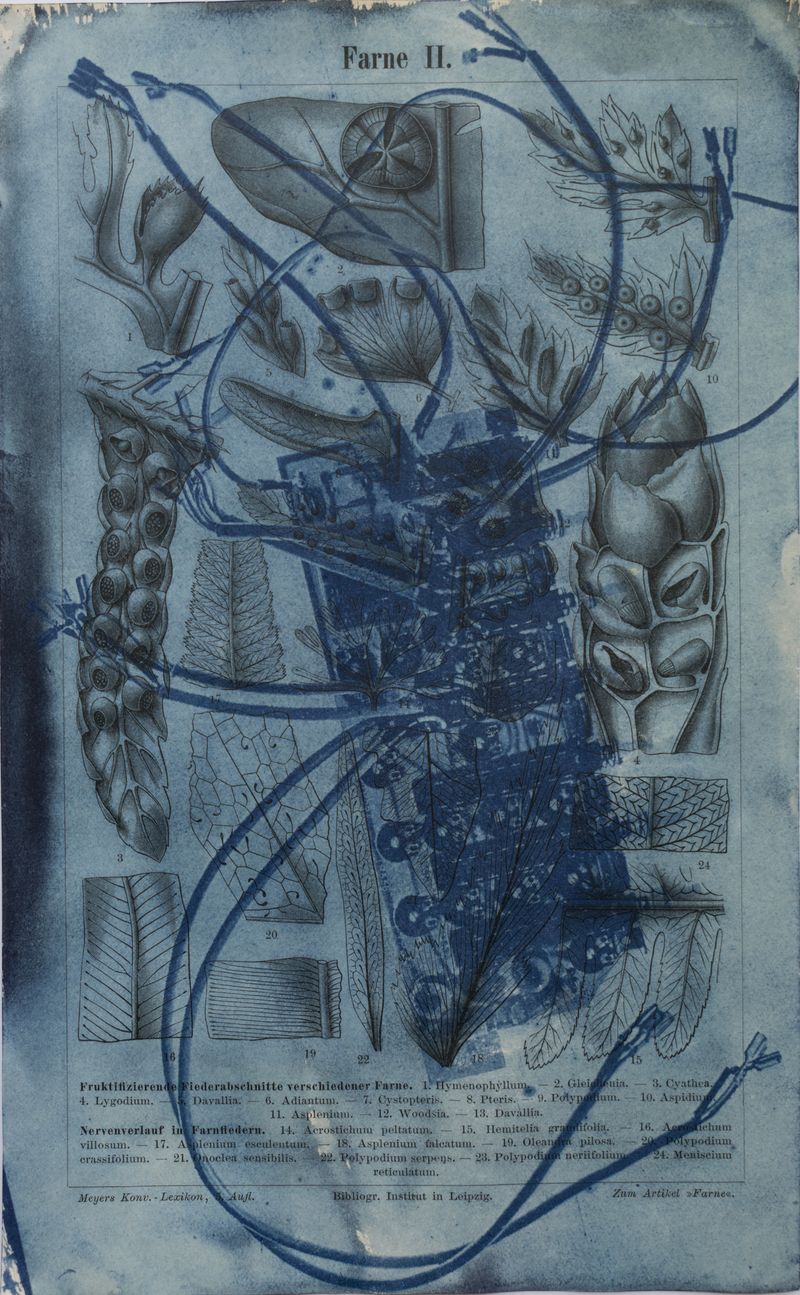 © Florence Iff - Amalgamated Fragmentation/ Technosphere- Board 2 cyanotype on vintage lithography