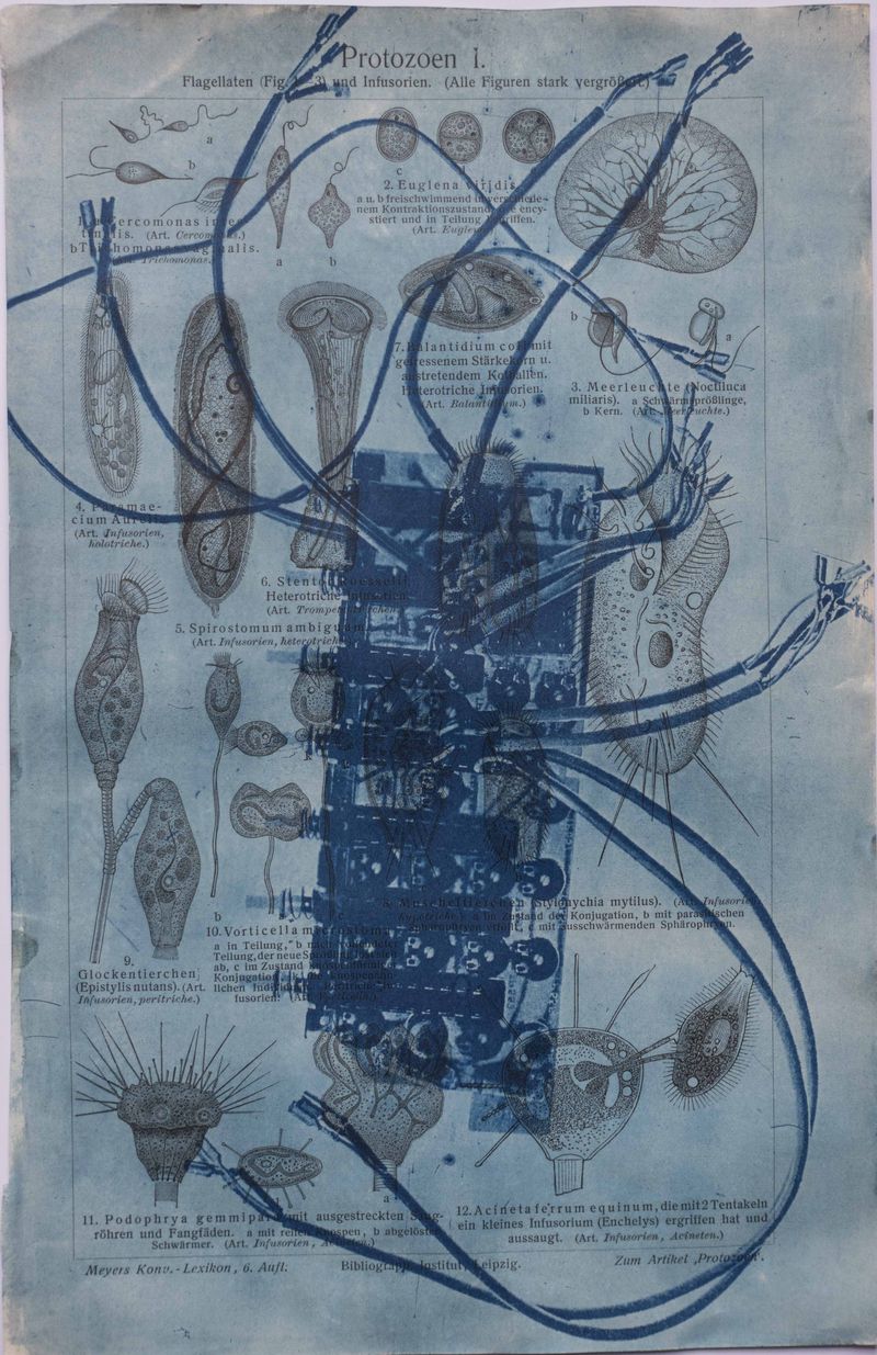 © Florence Iff - Amalgamated Fragmentation/ Technosphere- Board 2 cyanotype on vintage lithography