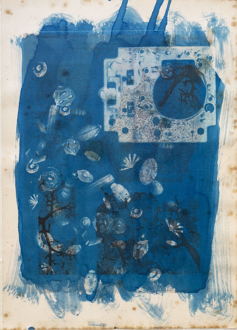 © Florence Iff - Amalgamated Fragmentation/ Technosphere 3 cyanotype on vintage lithography