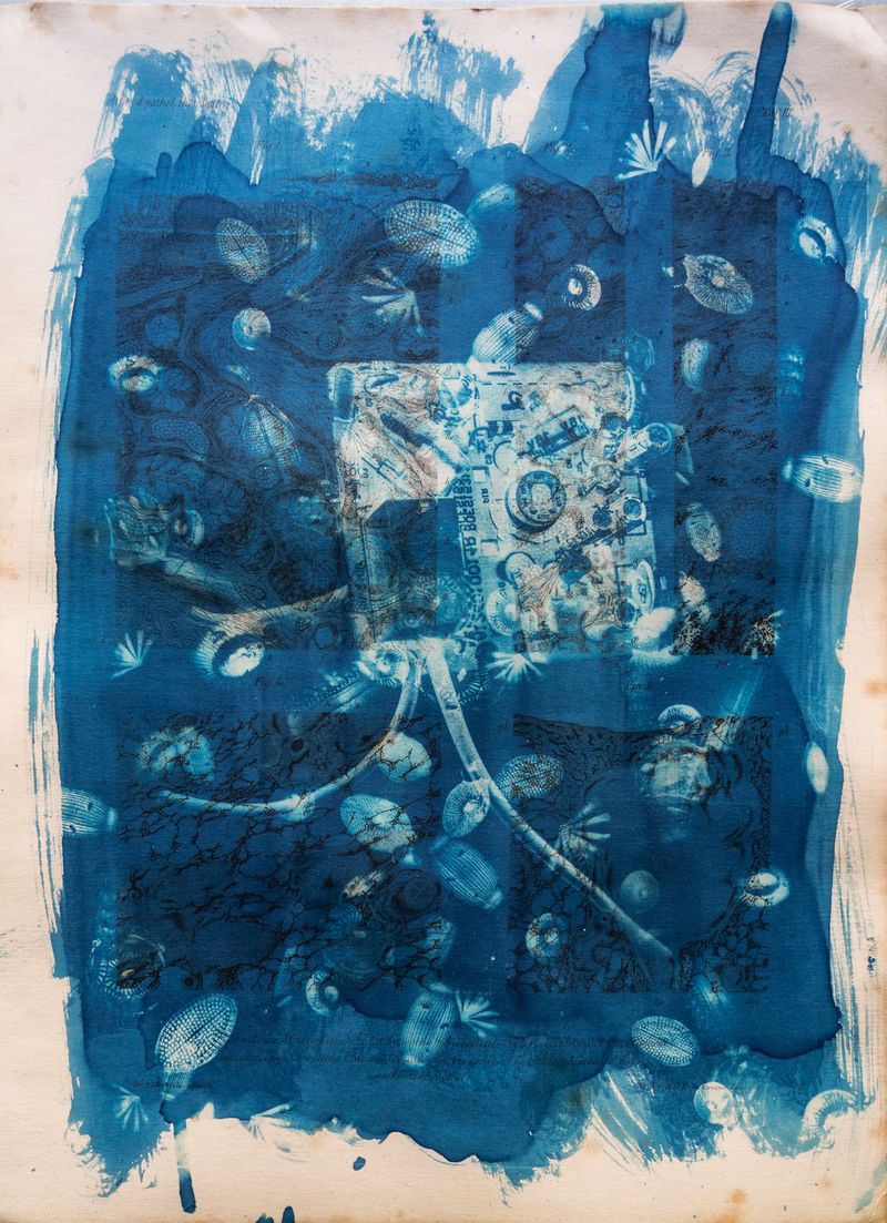 © Florence Iff - Amalgamated Fragmentation/ Technosphere 6 cyanotype on vintage lithography