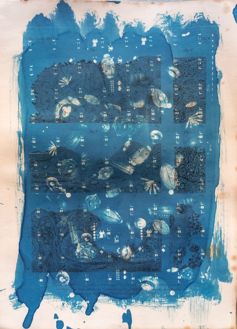 © Florence Iff - Amalgamated Fragmentation/ Technosphere 5 cyanotype on vintage lithography