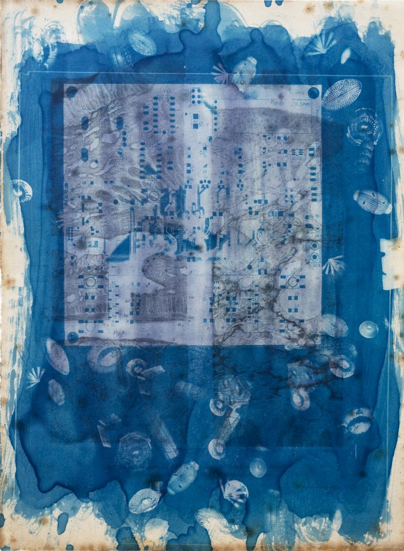 © Florence Iff - Amalgamated Fragmentation/ Technosphere 2 cyanotype on vintage lithography