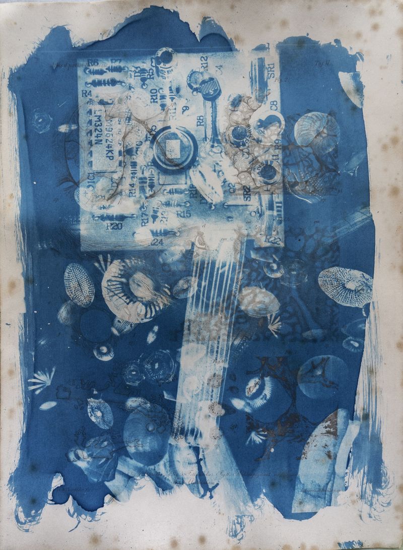 © Florence Iff - Amalgamated Fragmentation/ Technosphere 8 cyanotype on vintage lithography