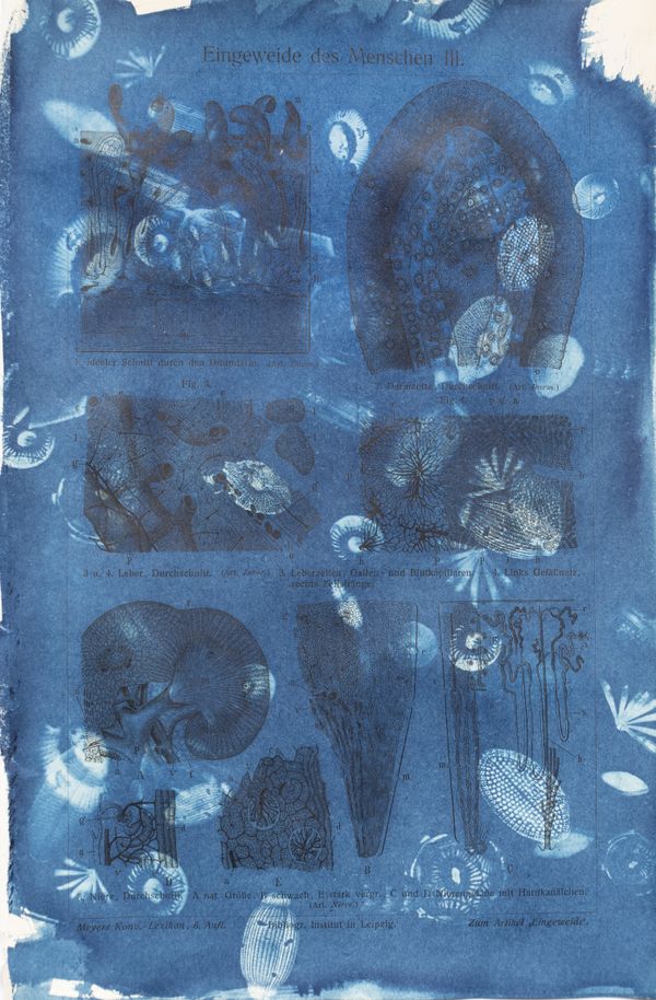 © Florence Iff - Amalgamated Fragmentations / Technosphere