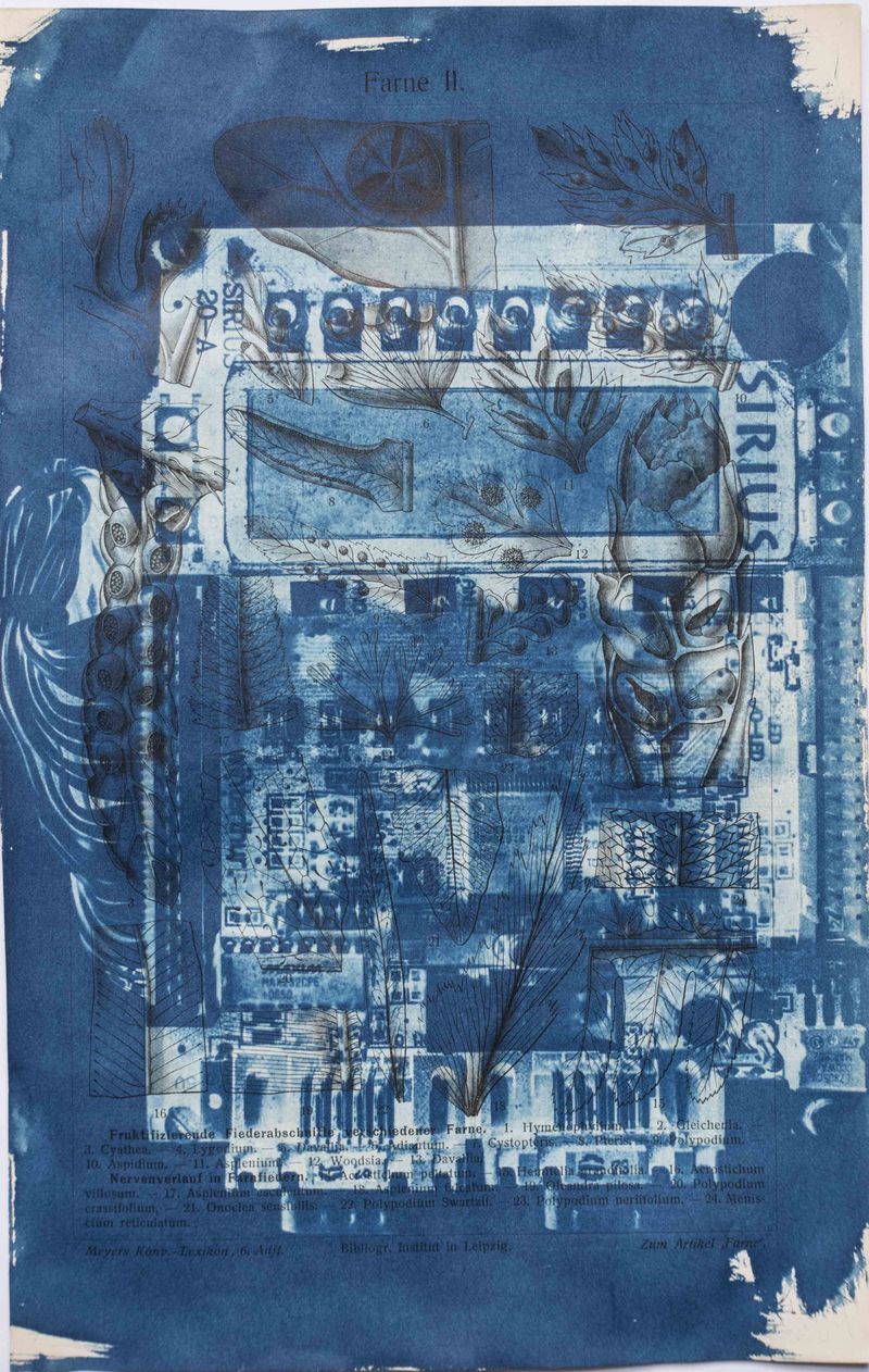 © Florence Iff - Amalgamated Fragmentation/ Technosphere- Board 5 cyanotype on vintage lithography