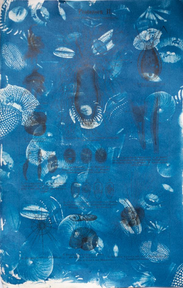 © Florence Iff - Image from the Amalgamated Fragmentations–Technosphere photography project