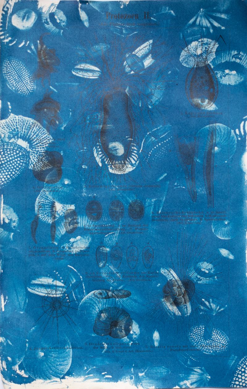 © Florence Iff - Image from the Amalgamated Fragmentations–Technosphere photography project