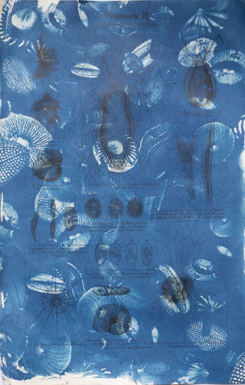 © Florence Iff - Image from the Amalgamated Fragmentations–Technosphere photography project