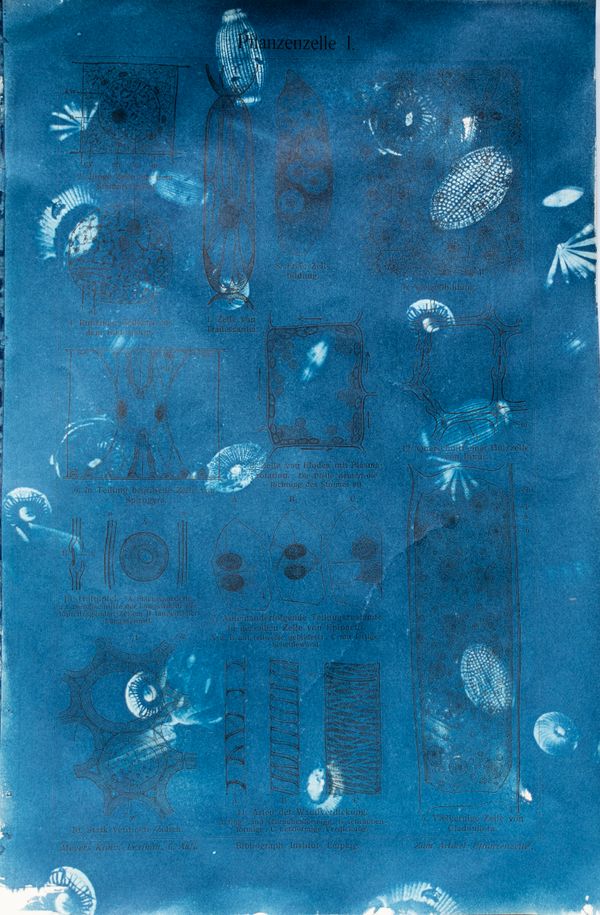 © Florence Iff - Image from the Amalgamated Fragmentations–Technosphere photography project