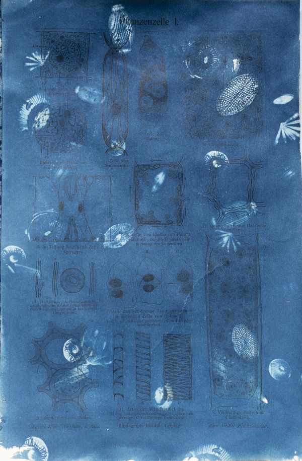 © Florence Iff - Image from the Amalgamated Fragmentations–Technosphere photography project