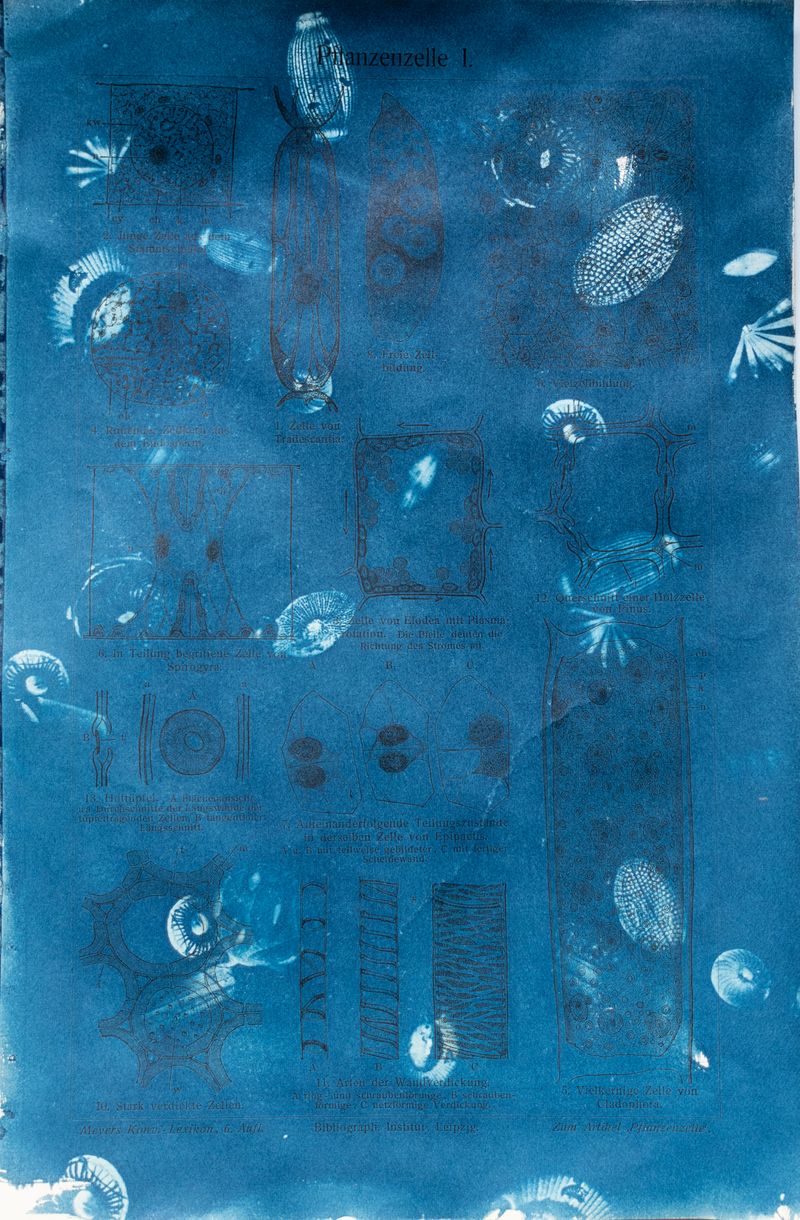 © Florence Iff - Image from the Amalgamated Fragmentations–Technosphere photography project