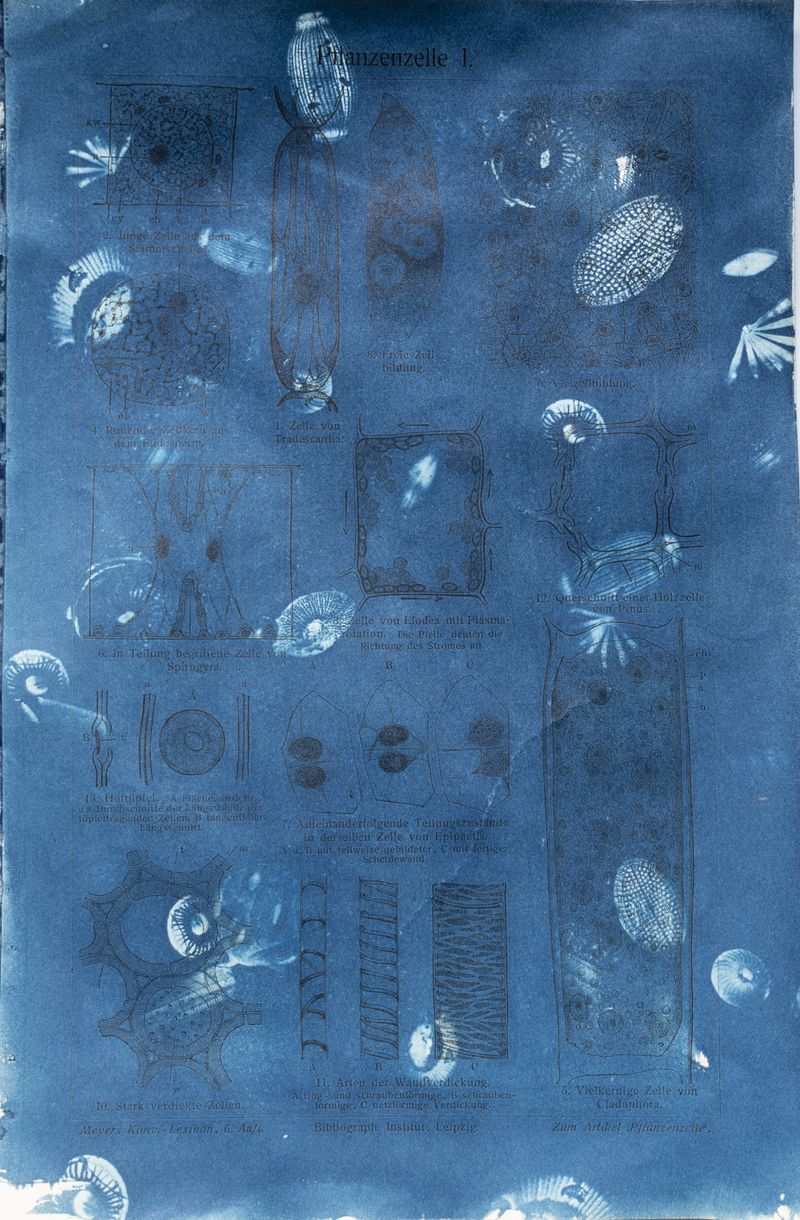 © Florence Iff - Image from the Amalgamated Fragmentations–Technosphere photography project