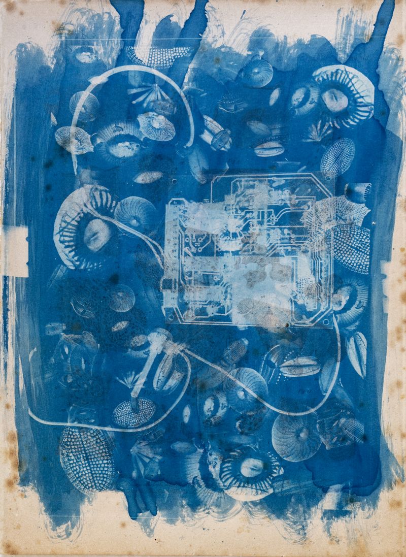 © Florence Iff - Amalgamated Fragmentation/ Technosphere 1 cyanotype on vintage lithography
