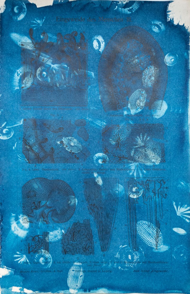 © Florence Iff - Image from the Amalgamated Fragmentations–Technosphere photography project