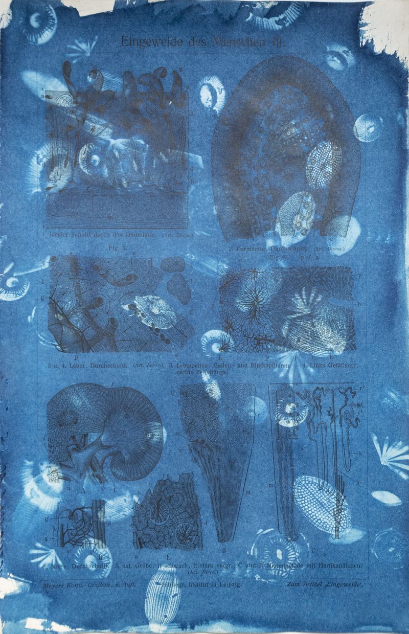 © Florence Iff - Image from the Amalgamated Fragmentations–Technosphere photography project