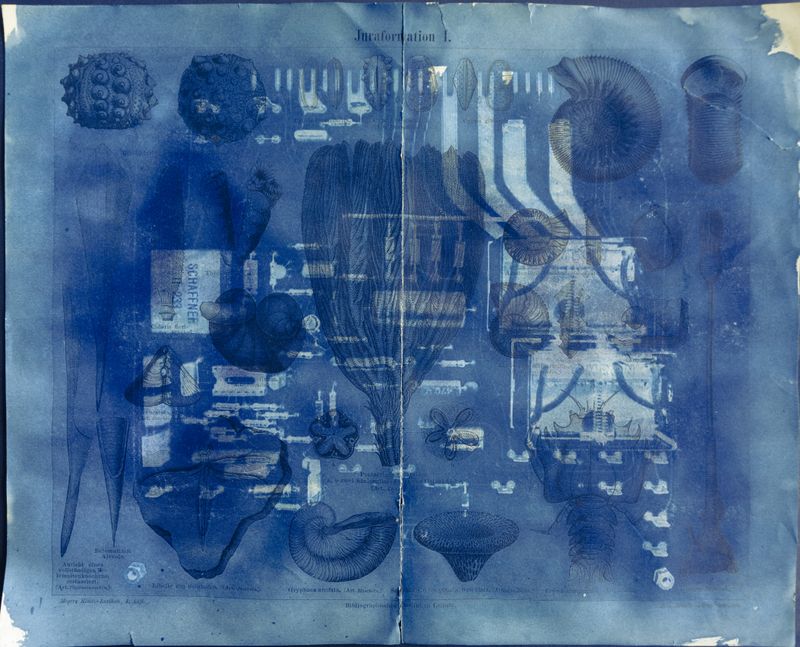 © Florence Iff - Amalgamated Fragmentation/ Technosphere- Board 9 cyanotype on vintage lithography