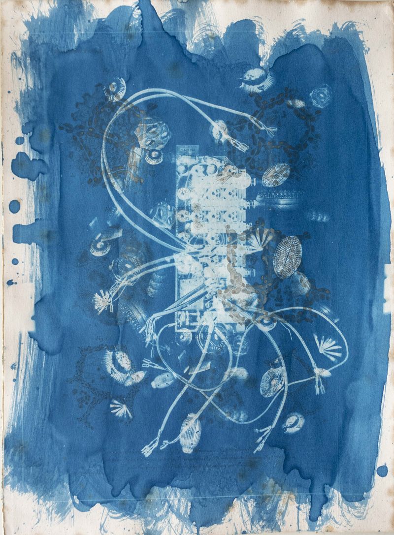 © Florence Iff - Amalgamated Fragmentation/ Technosphere 10 cyanotype on vintage lithography