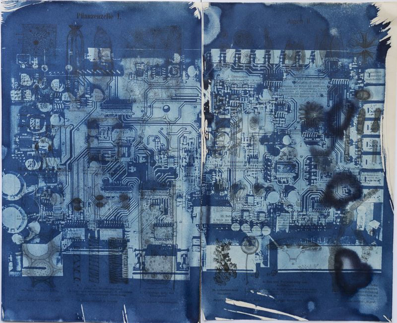 © Florence Iff - Amalgamated Fragmentation/ Technosphere- Board 7 cyanotype on vintage lithography