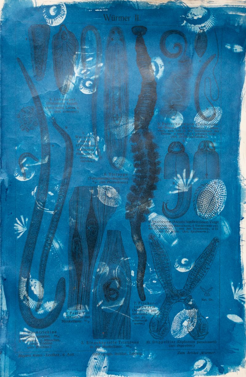 © Florence Iff - Image from the Amalgamated Fragmentations–Technosphere photography project