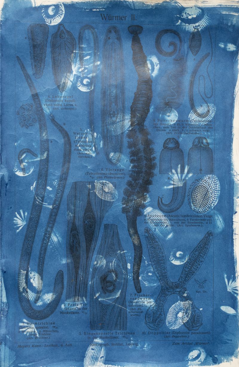 © Florence Iff - Image from the Amalgamated Fragmentations–Technosphere photography project
