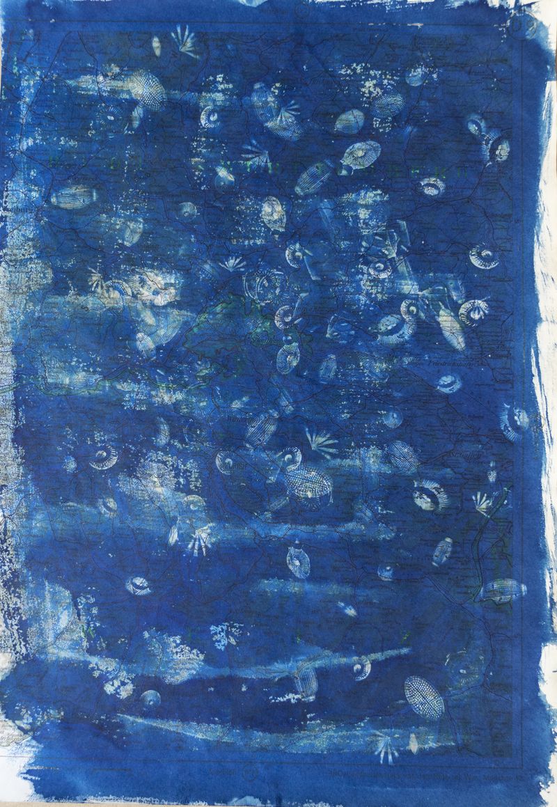 © Florence Iff - Image from the Amalgamated Fragmentations–Technosphere photography project