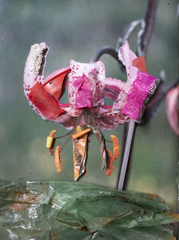 © Florence Iff - Image from the Amalgamated Fragmentations-Penetration photography project