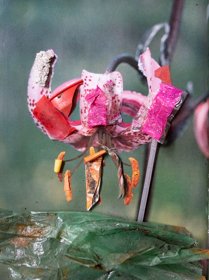 © Florence Iff - Image from the Amalgamated Fragmentations-Penetration photography project